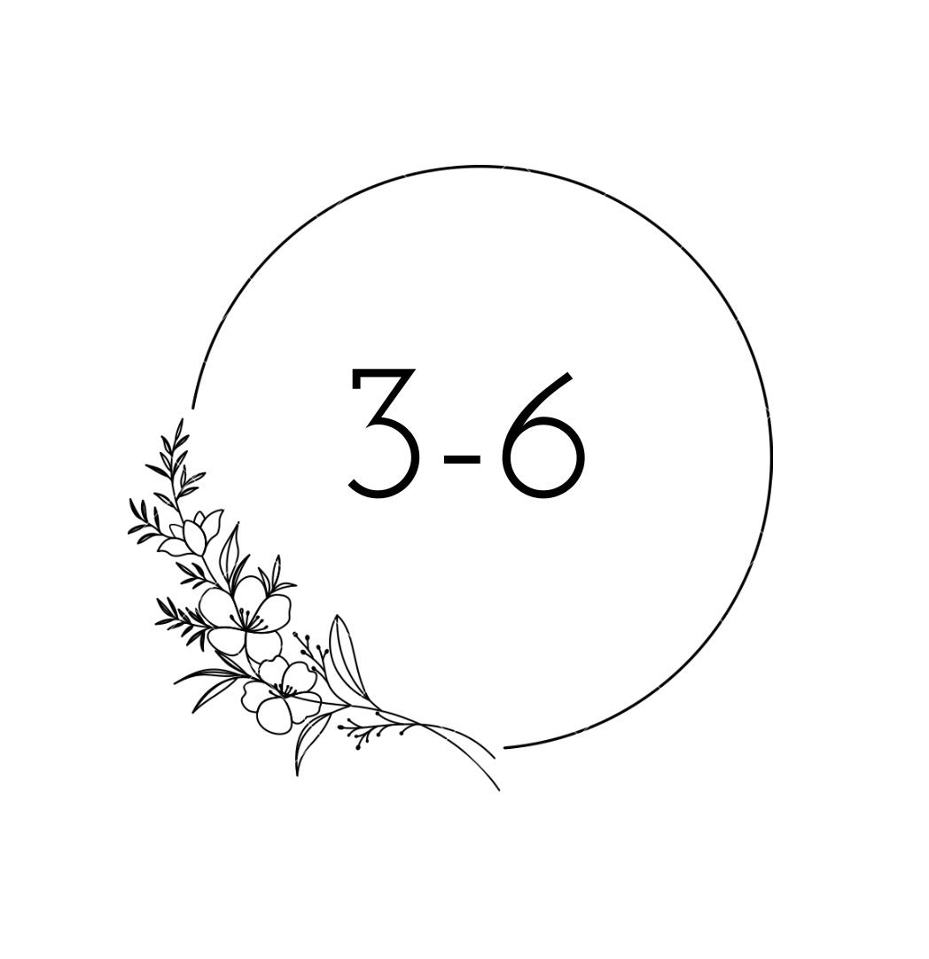 3-6 Months
